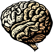 brain.gif (8636 bytes)